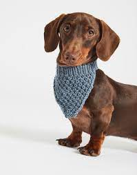 If you're already a subscriber, you can access the pattern with the password in each newsletter, in the resource library. Hound Dog Bandana Wool And The Gang