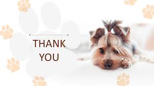 100+ thank you pictures download free sample thank you letter for donation | goodorbademail.com. Cute Puppy Powerpoint Images Free Download
