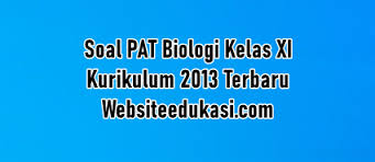 Maybe you would like to learn more about one of these? Soal Pat Biologi Kelas 11 Kurikulum 2013 Jawaban Tahun 2021