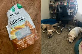 Additionally, they carry multiple types of cbd dog that's why cbd oils for cats should always be sourced from hemp, which contains 0.3% thc or less. Bad News The Dogs Devoured All The Cbd Anxiety Treats While I Was Gone Good News They Work Rarepuppers