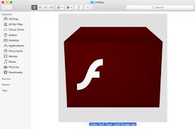 You have to have the installer program from adobe before you can run the free install of flash player, according to what is my browser. Ways To Download Update Enable Adobe Flash Player On Mac