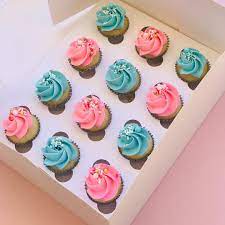Baby Pink Blue Mini Sprinkle Cupcakes Mini Cupcakes Sprinkle Cupcakes Cupcake Cakes
