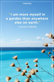 Filled with calm, happiness, and positivity with these inspirational good night quotes and images. Absolutely Beautiful Quotes About Summer Summer Quotes Beautiful Quotes Inspirational Quotes