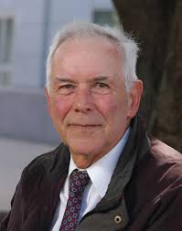 Renowned Expert in Composite Materials