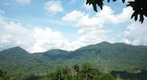Although herpetofaunal records from these upland systems are scattered throughout a wide body of literature, only two major studies have focused on the largest mountain system, the banjaran titiwangsa and only one major survey was published for a locality in the easternmost range, the banjaran timur. Smart Travel Travel Guide Application