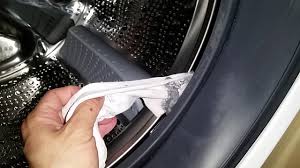 This is especially true of smaller garments such as bras and socks. Bosch Waw24860au 8kg Front Load Washing Machine Sock Caught And Torn In Seal Youtube