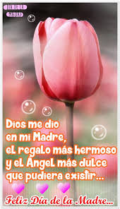 Los claveles eran la flor favorita de sus madres y anna sentía que simbolizaban el amor puro de una madre. 67 Imagenes Nuevas De Feliz Dia De La Madre Para Compartir