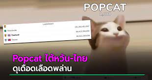 ทำความรู้จัก popcat เกมจิ้มแมว ฮิตชั่วข้ามคืน ไทยครองอันดับ 1 ของโลก. 7yfgqp W5yswem