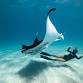 Ocean Film Festival World Tour