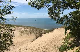 Best beach trails in Holland | AllTrails