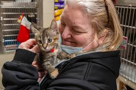 I have been at the carson animal care center since 7/18. California Pet Rescues Face Demand For Kittens Dogs During Covid 19