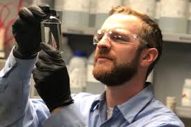 Dow Q2 2025 Earnings Call Transcript