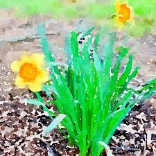 Margaret Umberger (@margaret_umberger_design) • Instagram photos and videos