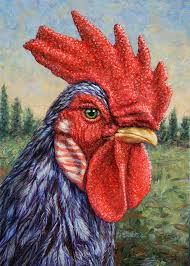Wild Blue Rooster Goruntuler Ile Resim Sanat Hayvan