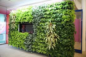 Plant landscapes are known to remove harmful environmental toxins found in building interiors, and can lighten the load of the hvac system by removing many of these pollutants, resulting in less energy use in buildings. Tech Firm Dirtt Pushes Into New Growth Markets The Globe And Mail