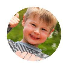 Mt Victoria Summit Lookout Walk