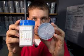 Applicants Use Fake Pee In Attempt To Fool Workplace Drug Tests Miami Herald