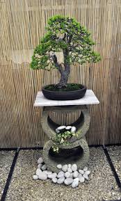 Tafur rosade who passed away on aug. Attractive Bonsai Presentation Bonsai Art Bonsai Tree Bonsai Styles