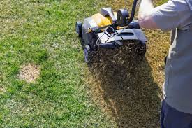 Find gardeners you can trust and read reviews to compare. When To Aerate The Lawn Solved Bob Vila