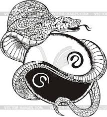 Tribal yin yang temporary tattoo, shoulder, half sleeve, maori, hawaiian, tribal design, fake tattoo sticker transfer, mens, womens delusiontattoos. Tribal Snake Tattoo Ying Yang Vector Clipart