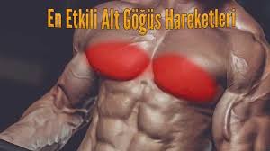en iyi alt gogus kasi hareketleri pektoral kaslarin alt kisminin gelismesini hedefleyerek goguslere gorsel olarak cekici 2021 bench press gogus egzersizleri gogus
