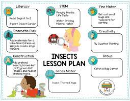 These insect matching cards not only help preschoolers refine their visual discrimination and sorting skills , but they also offer super fun and interesting facts about everyday insects. Preschool Insects Lesson Planning Ideas