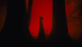 La sombra del pasado