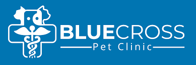 We look forward to meeting you and your pet and promise to provide the highest levels of care and health services for them. Veterinarian In San Antonio Tx 78228 Blue Cross Pet Clinic