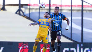 Catch the latest querétaro and tigres news and find up to date football standings, results, top scorers and previous winners. Partidos De Hoy Queretaro Vs Tigres Resumen Resultado Y Goles Del Partido De La Jornada 13 De La Liga Mx 2021 Marca