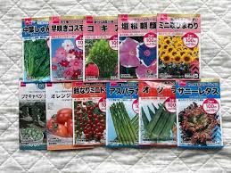ダイソー タネ