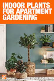 The Home Depot Has Everything You Need For Your Home Improvement Projects Click To Learn More And Shop Available Home House Plants Indoor Plants Indoor Plants