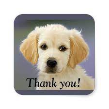 Someone should be in touch with you soon regarding your inquiry. Cute White Puppy Thank You Sticker Zazzle Com In 2021 Cute White Puppy White Puppies Puppy Gifts