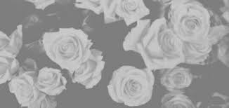 Black And White Header Background Twitter Header Facebook Background White Twitter Header Black Roses Wallpaper