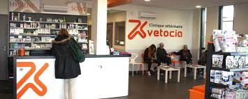 Maybe you would like to learn more about one of these? Clinique Veterinaire Montpellier Veterinaire Vetocia