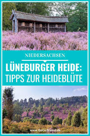 Wann Die Luneburger Heide Am Schonsten Ist Zur Heideblute Reisen Urlaub In Deutschland Reisen Deutschland