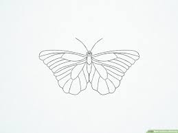 The new lines in each step are shown in red, so you'll know exactly what. How To Draw A Butterfly With Pictures Wikihow