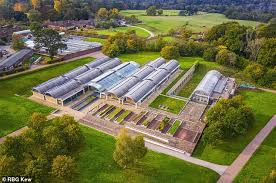 Noah's bible memory employs the 'memory palace' technique. Kew Celebrates 20th Anniversary Of Noah S Ark For Plants Australiannewsreview