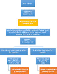 Request a free informational guide for immediate overnight delivery. Pathologic Grading Of Malignant Pleural Mesothelioma An Evidence Based Proposal Sciencedirect