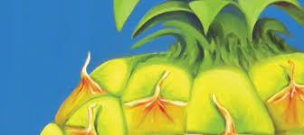 While looking at national averages can give a general idea, such numbers usually do not include. Monthly Artist Feature Laura Dozor And Pineapple