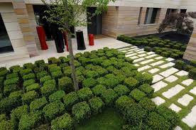 A Cero Projects Modern Planting Landscape Design Modern Garden
