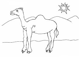 We did not find results for: Desert Coloring Pages Best Coloring Pages For Kids