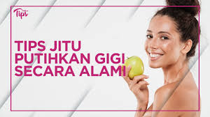 Jika anda malas dan malu mendatangi dokter gigi, anda juga bisa menggunakan seperangkat alat pemutih gigi yang bisa anda beli di apotek. Gigi Kuning Ini 4 Cara Alami Untuk Memutihkannya Youtube