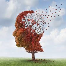 C'est ce qu'a réussi à développer une équipe de chercheurs de l'institut de neurosciences de l'université autonome de barcelone. Journee Mondiale Alzheimer Mieux Comprendre Les Pertes De Memoire Magazine Avantages