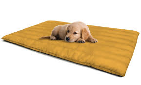 All for paws always cool dog mat makes summer more bearable for your dog. Hundekissen 60 X 100 Cm Groupon