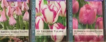 Maybe you would like to learn more about one of these? Midwest Gardening Easy Care And Maintenance For Flowering Bulbs