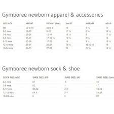 Gymboree Baby Velcro Sandal Crib Shoe Size 03 Nwt