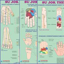 Sujok Therapy Reflexology Pressure Points Acupressure Acupressure Chart