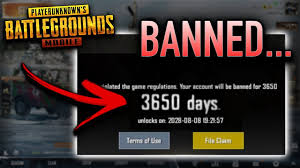In february of this month, blizzard banned almost 23,000. I Got Banned From Pubg Mobile Youtube