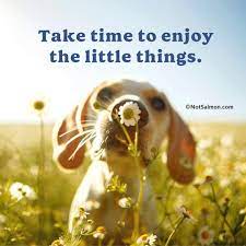 Enthusiasm Is My Daily Exercise I Treasure The Moments Of My New Life Wfs Newlifeprogram State Mindfulness Quotes Aromatherapy Candles Meditation Videos