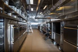 Hiring a pest control might be a solution in most cases, whether you have ants infestation or your trash can get constantly destroyed by raccoons. Restaurant Pest Control Blue Star Pest Control